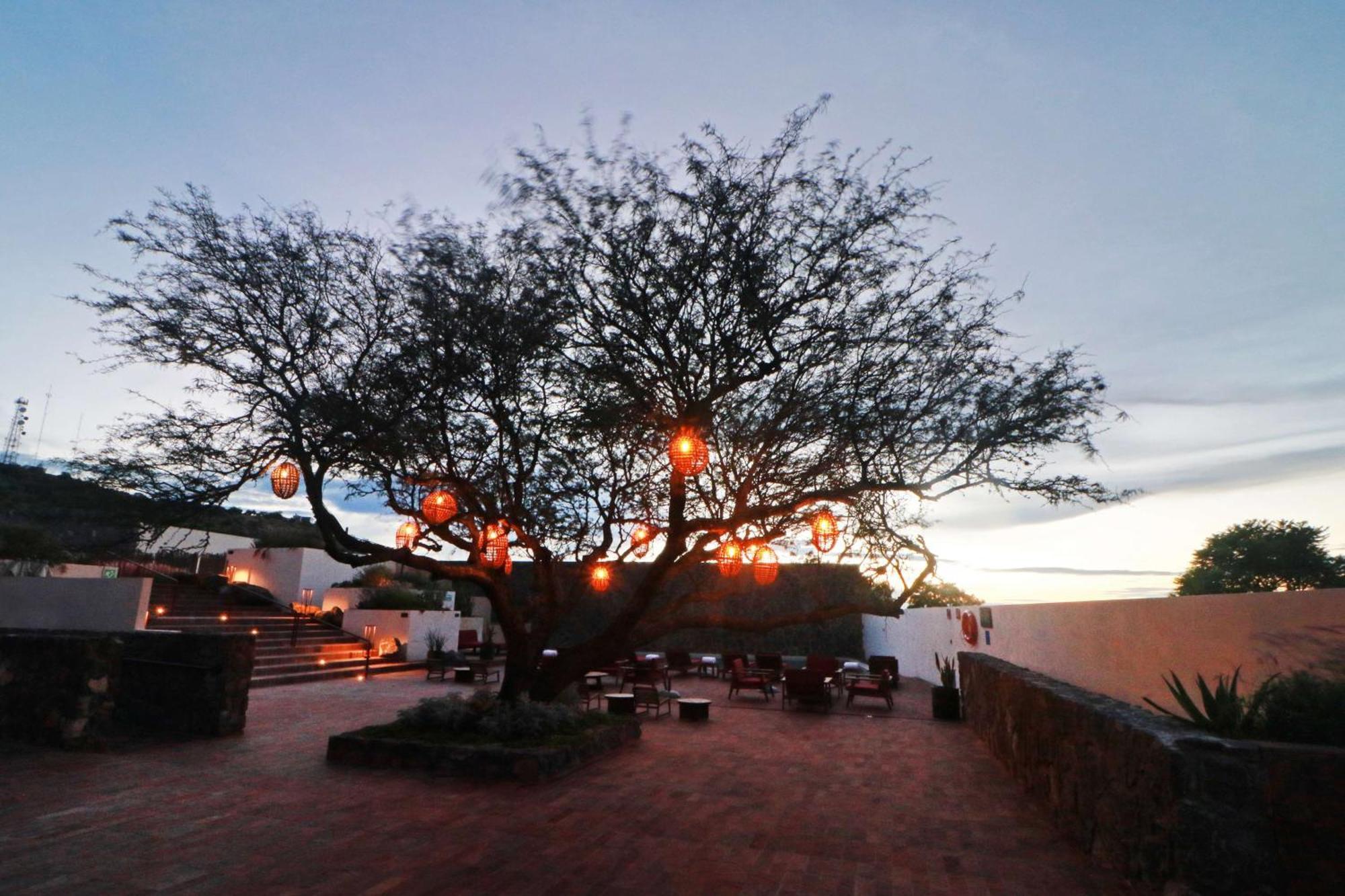 Albor San Miguel De Allende, Tapestry Collection By Hilton エクステリア 写真
